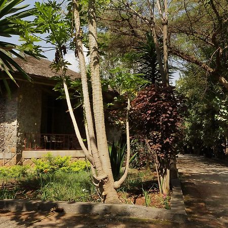 Abay Minch Lodge 巴赫达尔 外观 照片