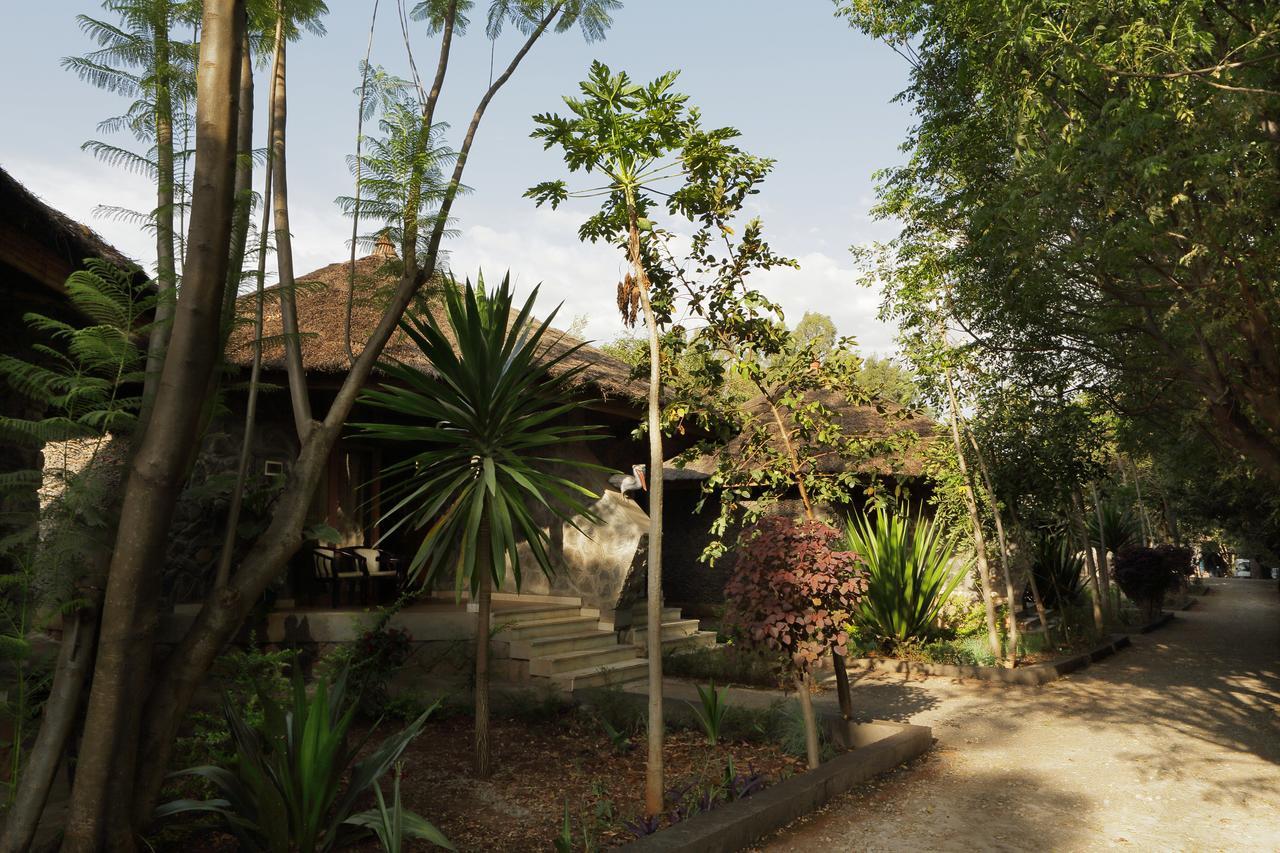 Abay Minch Lodge 巴赫达尔 外观 照片