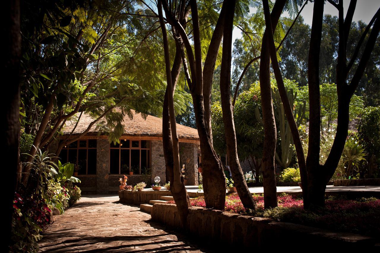 Abay Minch Lodge 巴赫达尔 外观 照片