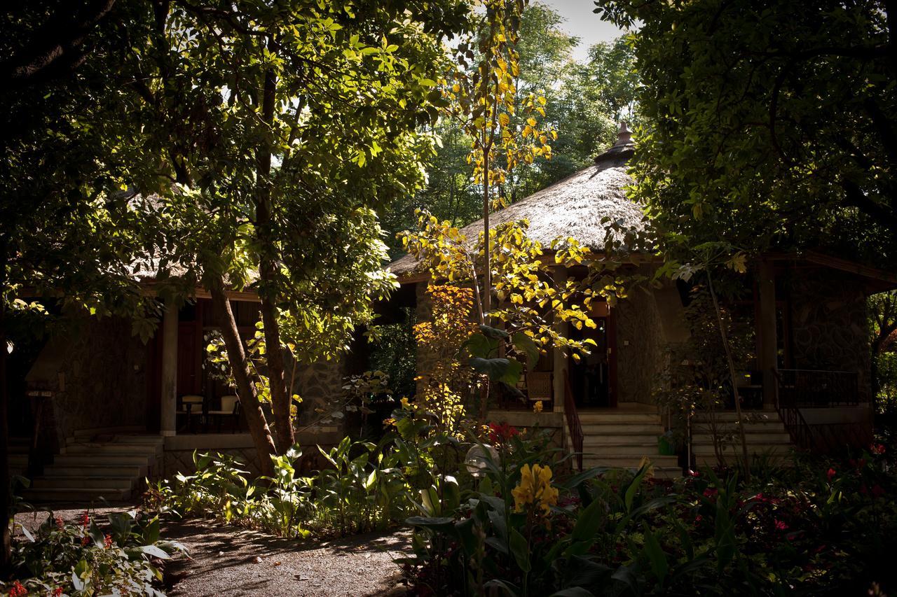 Abay Minch Lodge 巴赫达尔 外观 照片