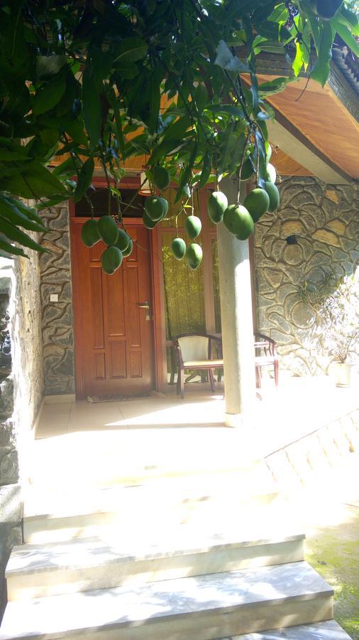 Abay Minch Lodge 巴赫达尔 外观 照片