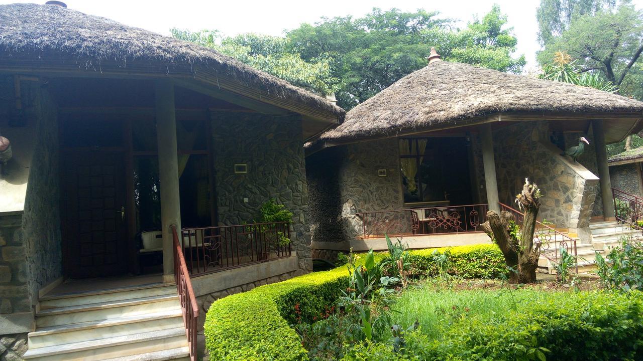 Abay Minch Lodge 巴赫达尔 外观 照片