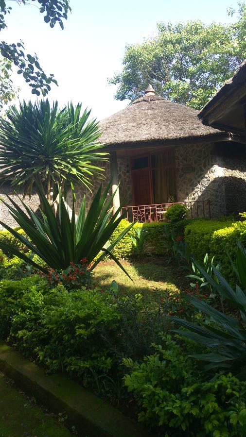 Abay Minch Lodge 巴赫达尔 外观 照片